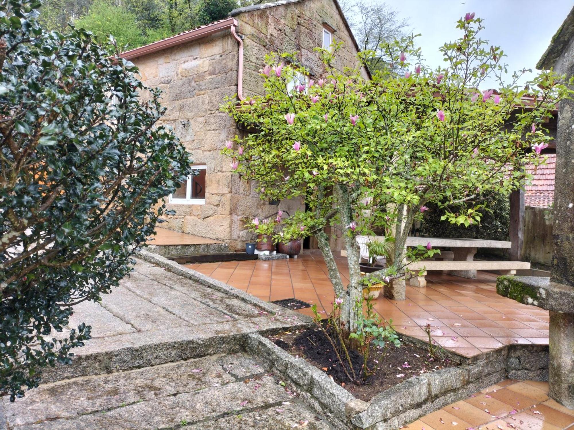 Apartamento Mogor, En Marin Bagian luar foto